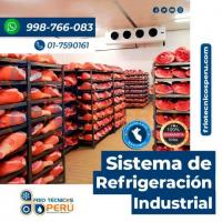 Servicio técnico de cámaras de refrigeración (industrial) 998766083