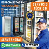 EN OFERTA - MANTENIMIENTO DE VISICOOLER 7590161