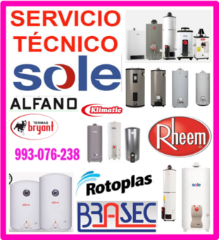 SERVICIO TÉCNICO DE TERMAS A GAS Y MANTENIMIENTOS 993-076-238