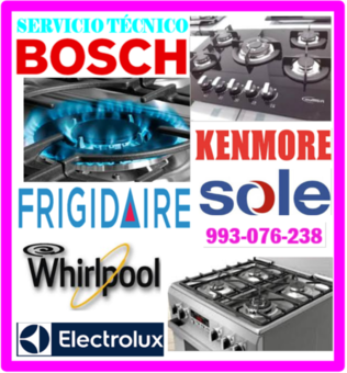 SERVICIO DE MANTENIMIENTOS DE COCINAS A GAS 993-076-238