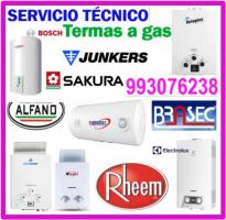 SERVICIO DE MANTENIMIENTO Y REPARACIONES DE TERMAS A GAS SOLE