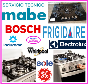 SERVICIO TECNICO DE COCINAS A GAS GENERAL ELECTRIC 993-076-238