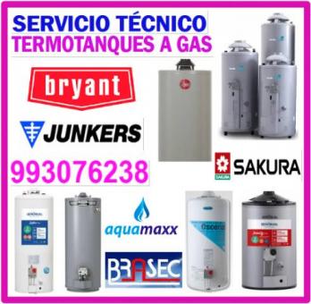 SERVICIO DE REPARACIONES Y MANTENIMIENTOS DE TERMAS A GAS 993076238