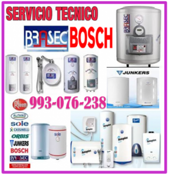 993076238 SERVICIO DE MANTENIMIENTO DE TERMAS A GAS BOSCH