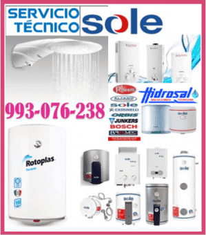 993-076-238 SERVICIO TÉCNICO DE TERMAS A GAS Y MANTENIMIENTOS