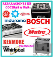 Servicio técnico de cocinas a gas y mantenimientos 993-076-238
