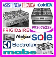 Reparación de hornos a gas y mantenimientos 993-076-238