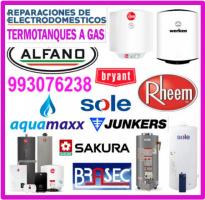 Reparación y mantenimiento de termas a gas 993-076-238