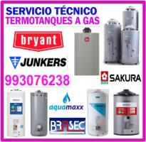 Reparación y mantenimiento de termas a gas 993-076-238